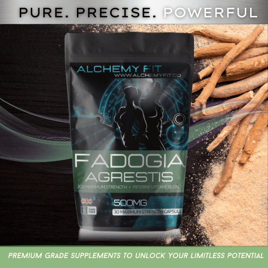 Fadogia Agrestis Capsules 500mg | High Potency 20: 1 Extract 10,000mg Equivalent