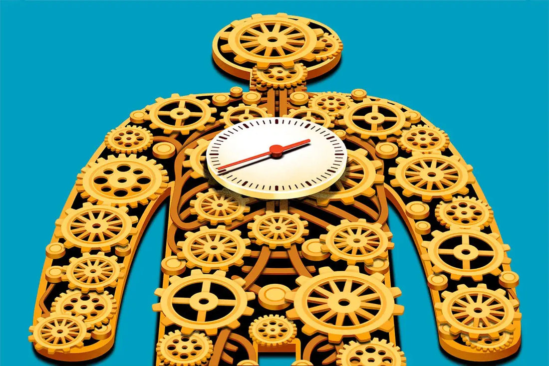 Why Most Supplements Fail in 30 Days: The Science Behind the 90-Day Rule for Real Results