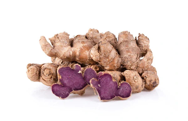Thai Black Ginger: Centuries of Traditional Use and the Modern Research