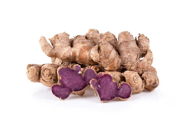 Thai Black Ginger: Centuries of Traditional Use and the Modern Research