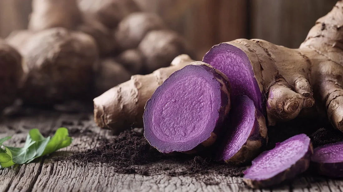 Black Ginger and Testosterone: What Kaempferia Parviflora Actually Does in the Body