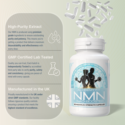 NMN 500mg Capsules – NAD+ for Longevity