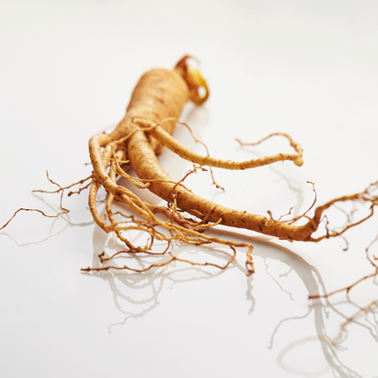 Panax Ginseng 500mg | 20:1 Korean Red Ginseng Extract | Energy, Focus & Adaptogen | Vegan Capsules