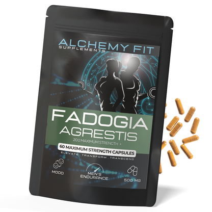 Fadogia Agrestis 500mg | 20:1 Extract | Natural Testosterone Support | Energy & Drive | Vegan Capsules