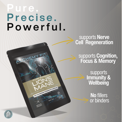 Lion's Mane Mushroom 500mg | 20:1 Extract | NGF & Nerve Growth | Cognitive Health