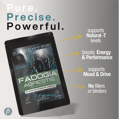 Fadogia Agrestis 500mg | 20:1 Extract | Natural Testosterone Support | Energy & Drive | Vegan Capsules