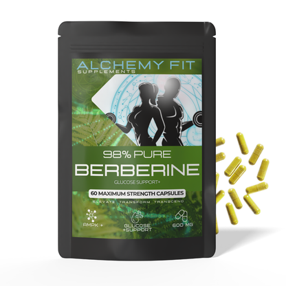 Alchemy Fit Berberine 600mg 25:1 extract metabolic support vegan capsules