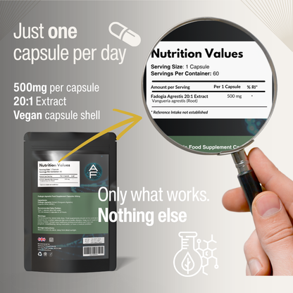 Fadogia Agrestis 500mg | 20:1 Extract | Natural Testosterone Support | Energy & Drive | Vegan Capsules