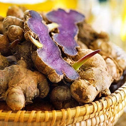 Thai Black Ginger 500mg | 10:1 Kaempferia Parviflora Extract | Energy & Performance | Vegan Capsules