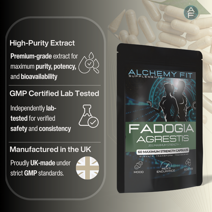 Fadogia Agrestis 500mg | 20:1 Extract | Natural Testosterone Support | Energy & Drive | Vegan Capsules