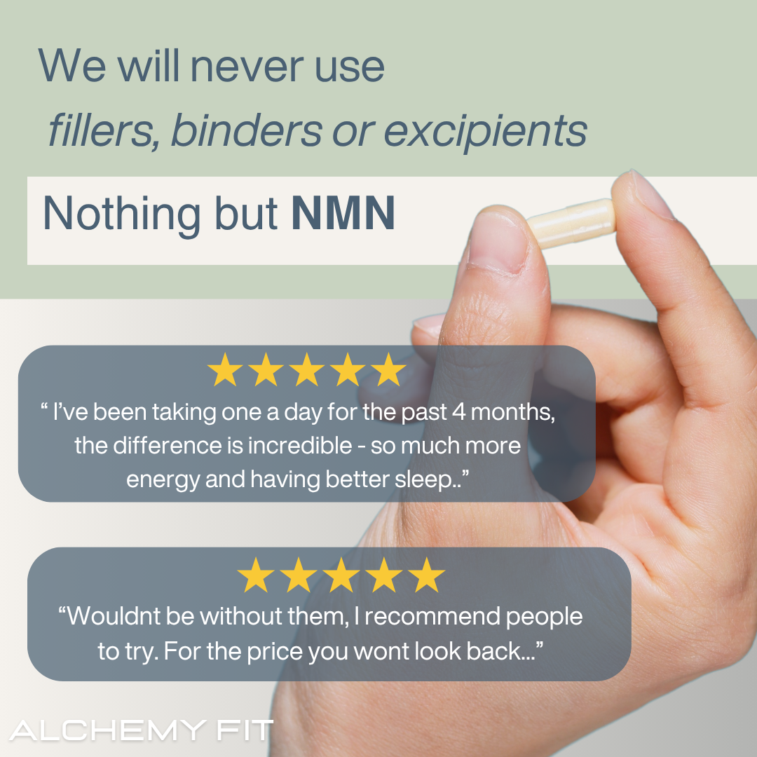 NMN 600mg Capsules – High-Strength NAD+ for Longevity