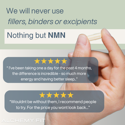 NMN 600mg Capsules – High-Strength NAD+ for Longevity