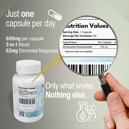 NMN 500mg Capsules – NAD+ for Longevity
