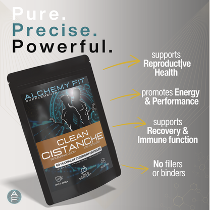 Cistanche 500mg | 20:1 Cistanche Tubulosa Extract | Longevity & Testosterone | Vegan Capsules