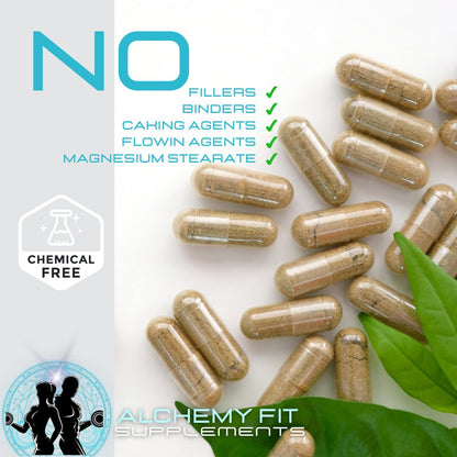 NMN 500mg | NAD+ Precursor for Longevity & DNA Repair | 60 Vegan Capsules